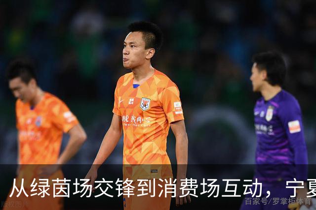 从绿茵场交锋到消费场互动，宁夏红借力足球营销撬动终端新增长